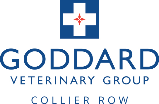 Goddard Veterinary Group Collier Row - Romford , United Kingdom