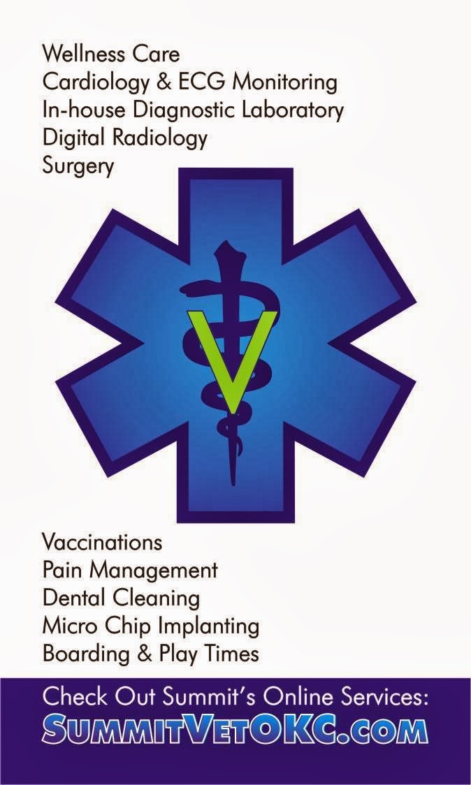 Summit Veterinary Hospital - Oklahoma City , United States