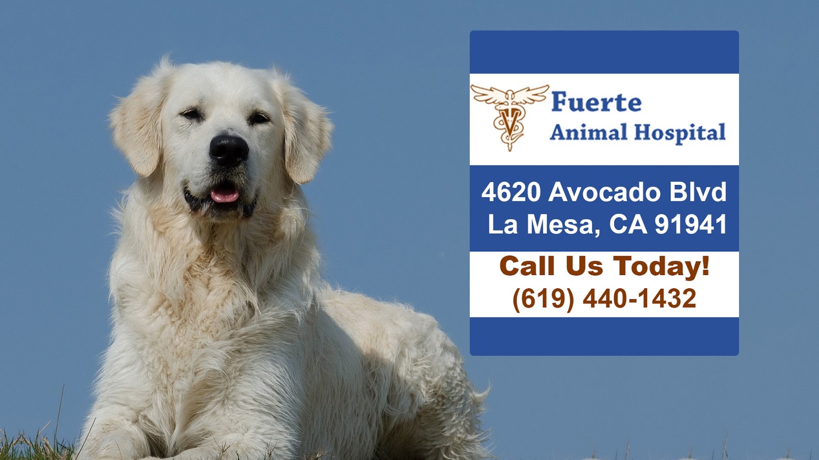 Fuerte Animal Hospital - La Mesa , United States