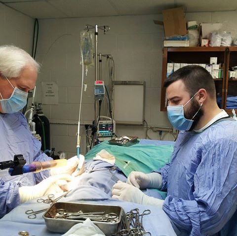Davis Animal Clinic - Okolona , United States
