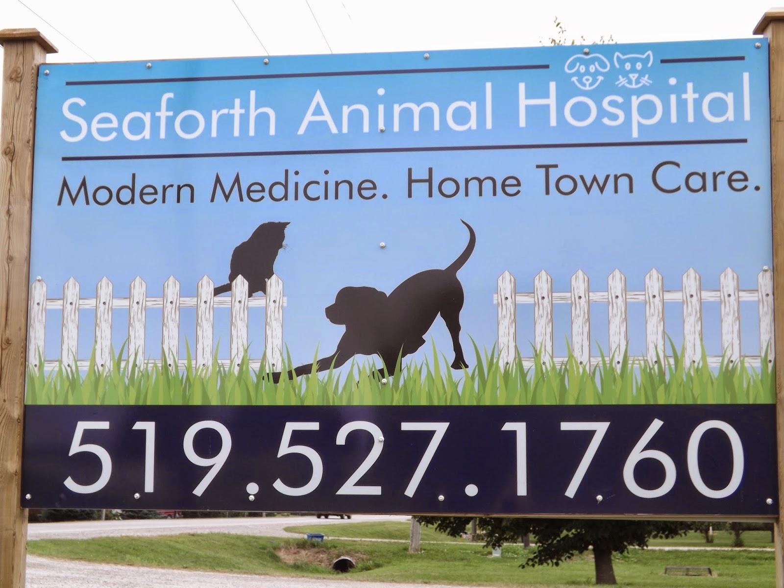 Seaforth Animal Hospital - Seaforth , Canada