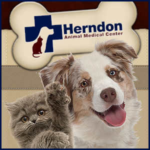 Herndon Animal Medical Center - Herndon , United States