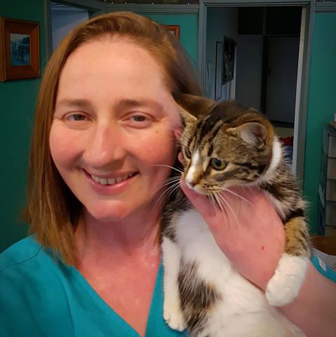 Brunswick Vet Services - Brunswick , Australia
