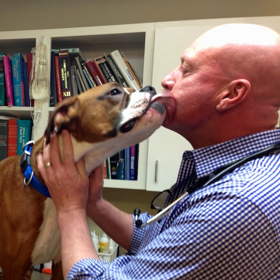 Middendorf Animal Hospital And Laser Centre - Florence , United States