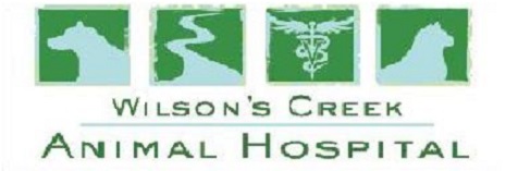 Wilsons Creek Animal Hospital - Springfield , United States