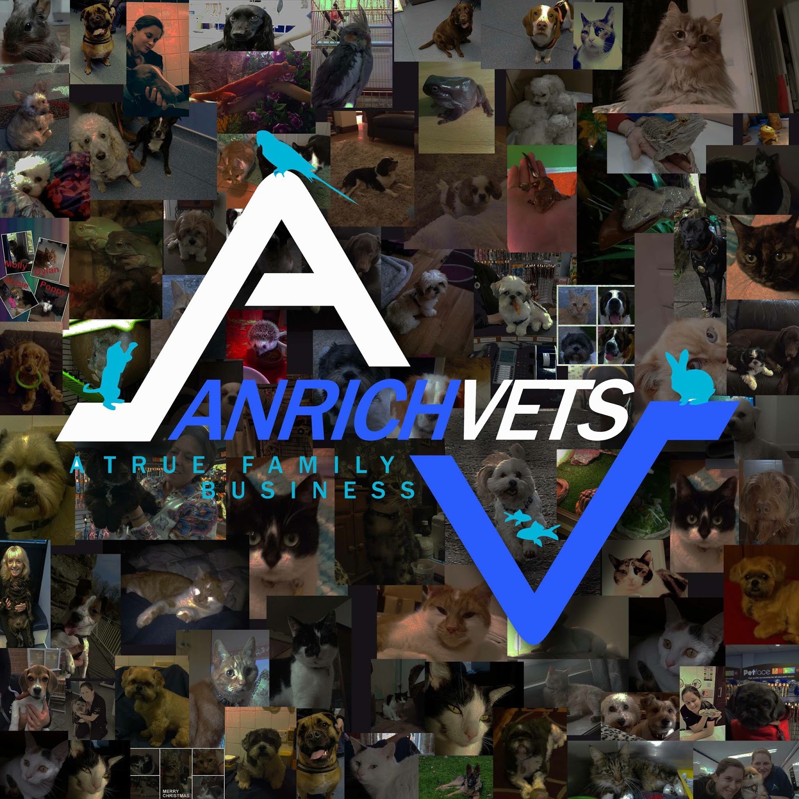 Anrich Vets - Wigan , United Kingdom
