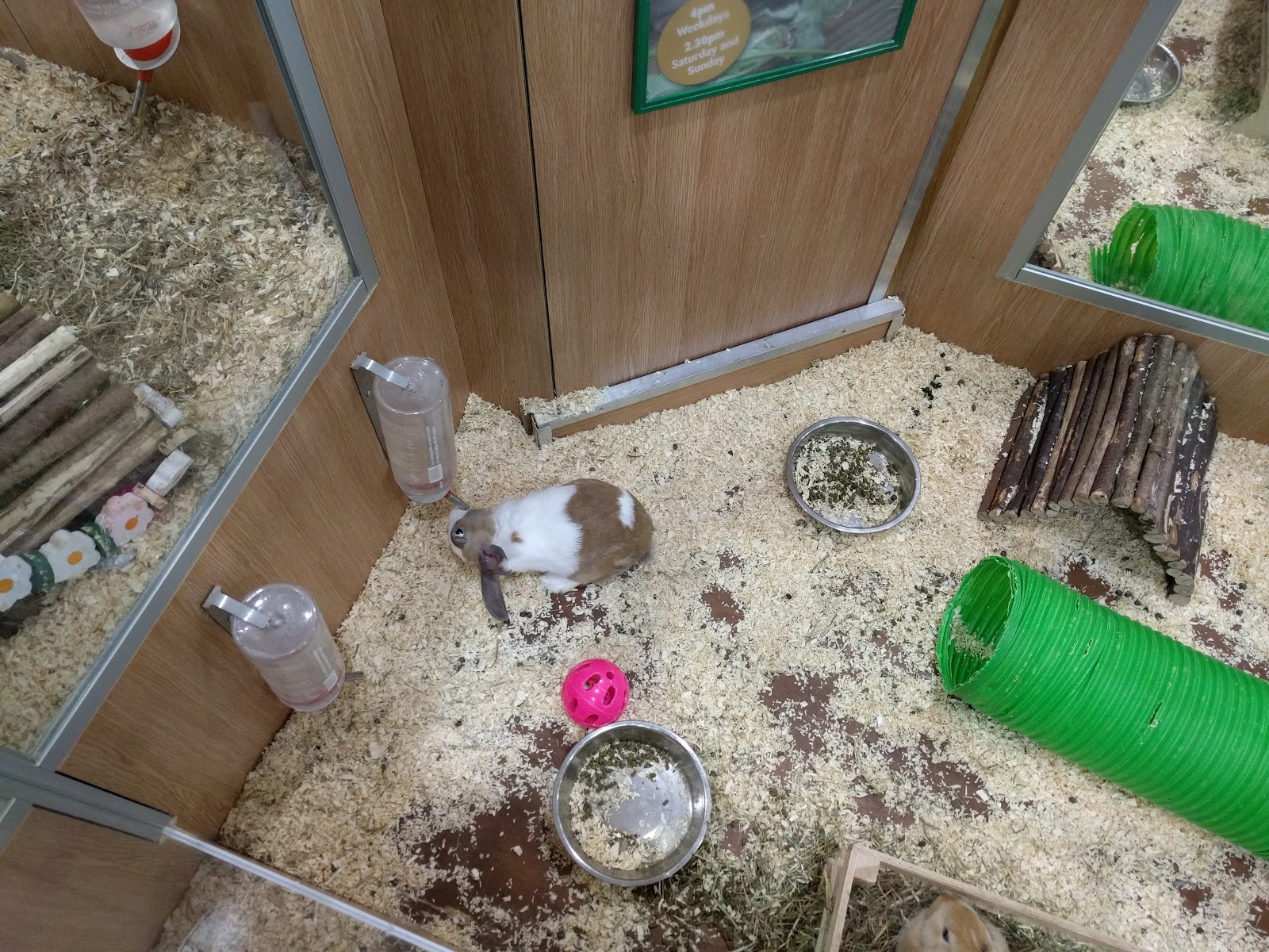 Vets4Pets Cardiff Newport Road - Cardiff , United Kingdom