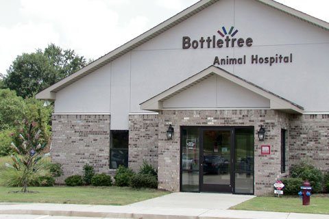Bottletree Animal Hospital - Oxford , United States