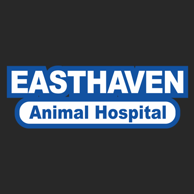 Easthaven Animal Hospital - Ann Arbor , United States