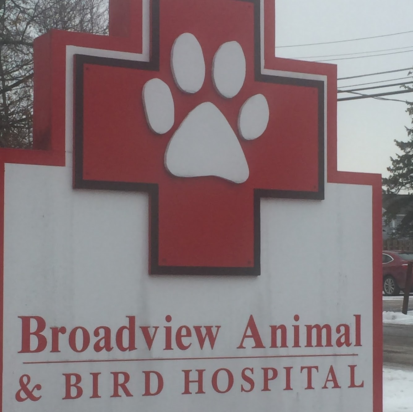 Broadview Animal And Bird Hospital - Seven Hills , United States
