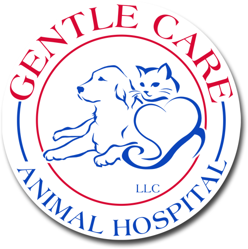 Gentle Care Animal Hospital - Bartlett , United States