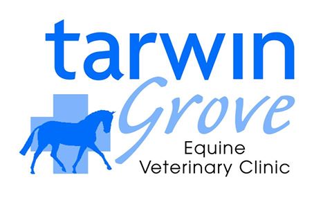 Tarwin Grove Equine Vet Clinic And Warmblood Stud - Pound Creek , Australia