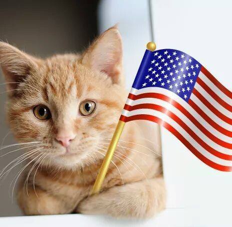 Milwaukee Animal Hospital - Milwaukee , United States