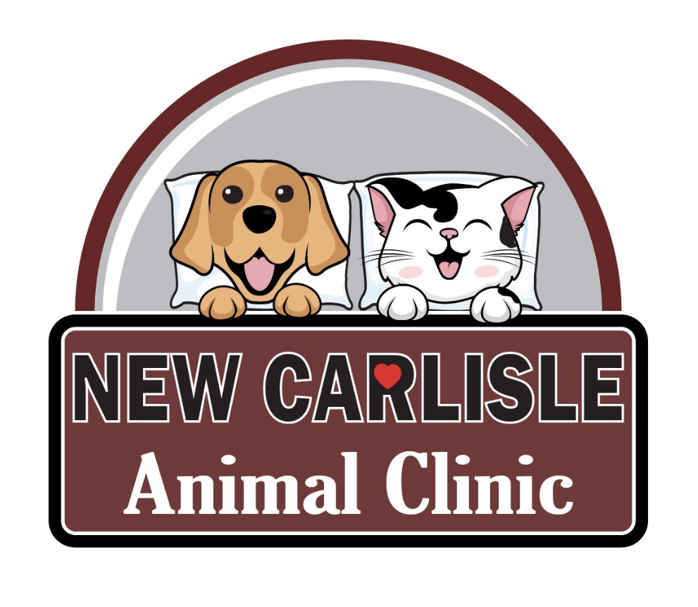 New Carlisle Animal Clinic - New Carlisle , United States