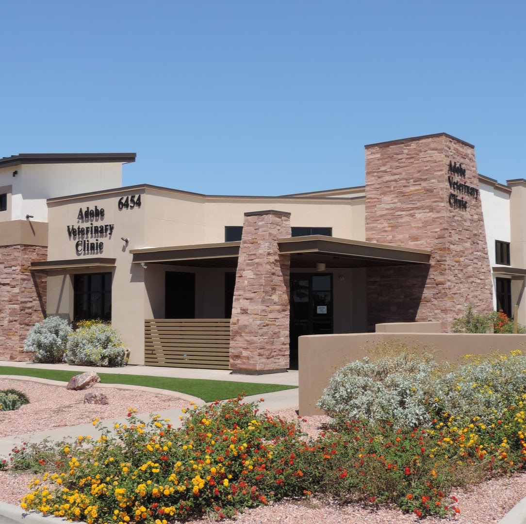 Adobe Veterinary Clinic - Mesa , United States