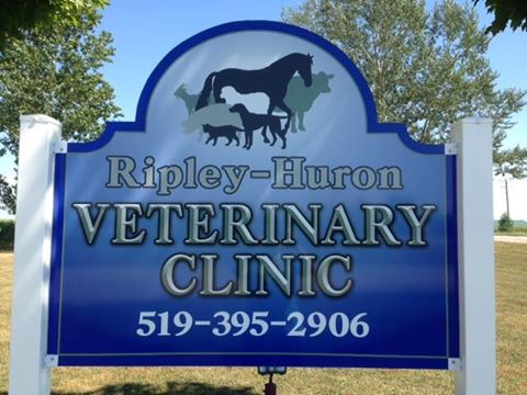 Huron Shores Veterinary Services - Port Elgin , Canada