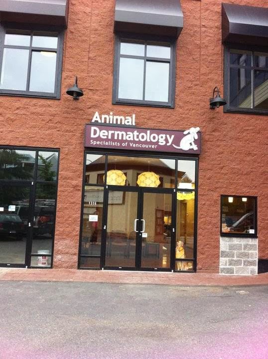 Animal Dermatology Specialists Of Vancouver - Vancouver , Canada