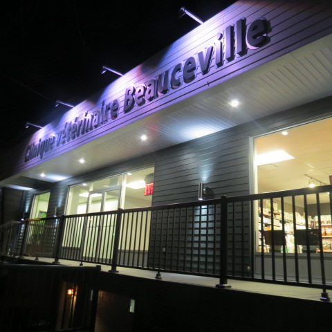 Clinique Vétérinaire Beauceville - Beauceville , Canada