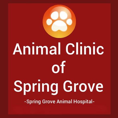 Animal Hospital Of Spring Grove - Spring Grove , United States