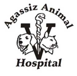Agassiz Animal Hospital - Agassiz , Canada