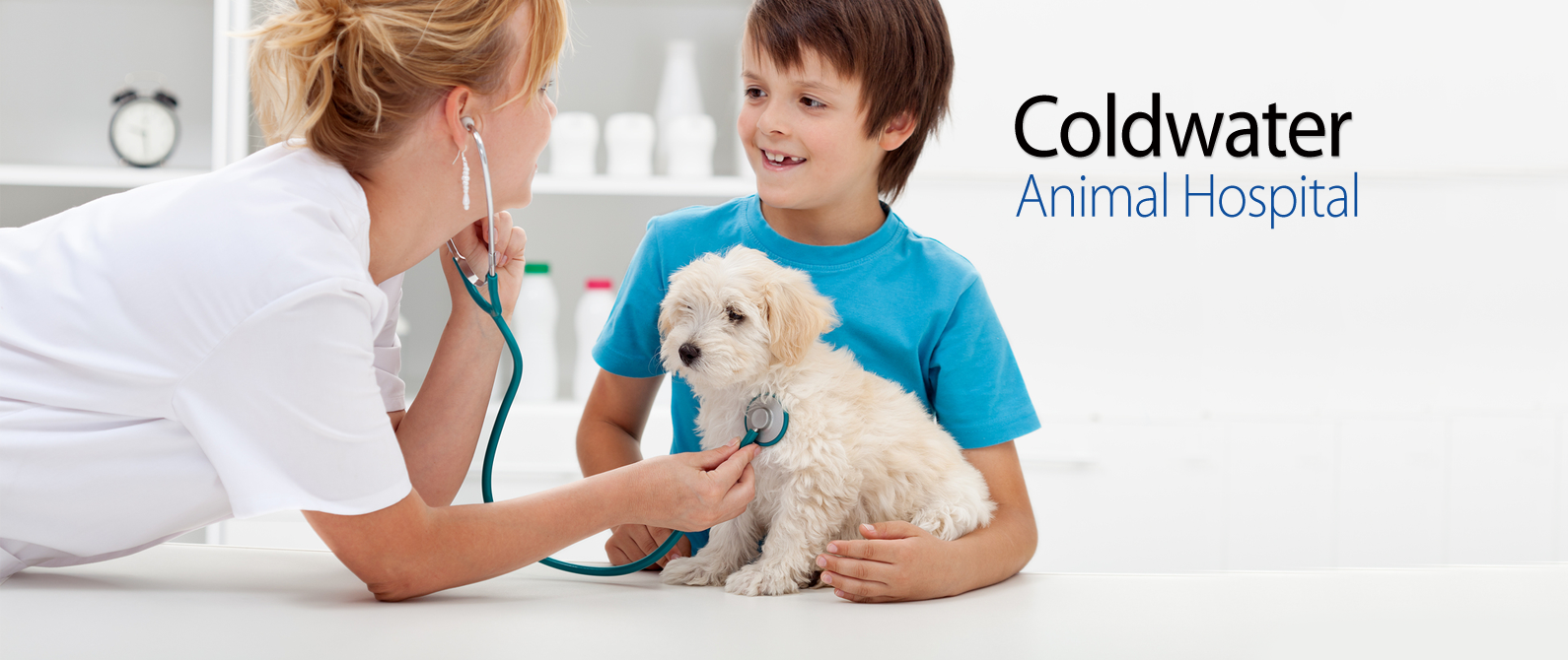 Coldwater Animal Hospital - Rochester , United States