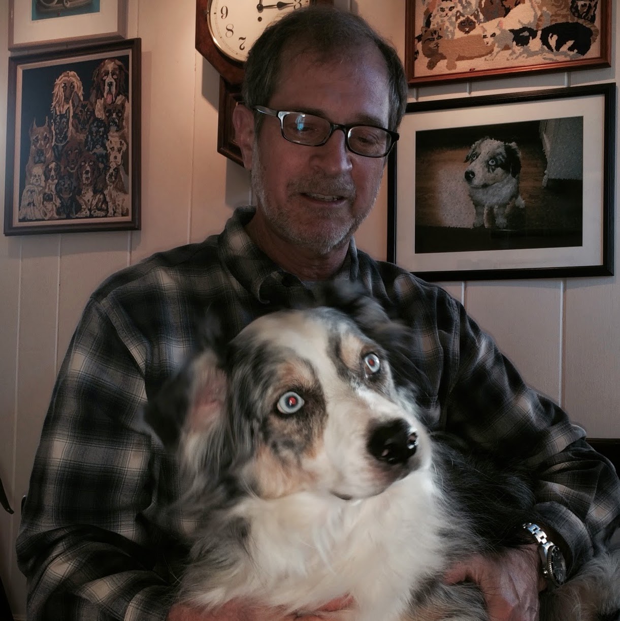 Spoede Animal Hospital - Creve Coeur , United States