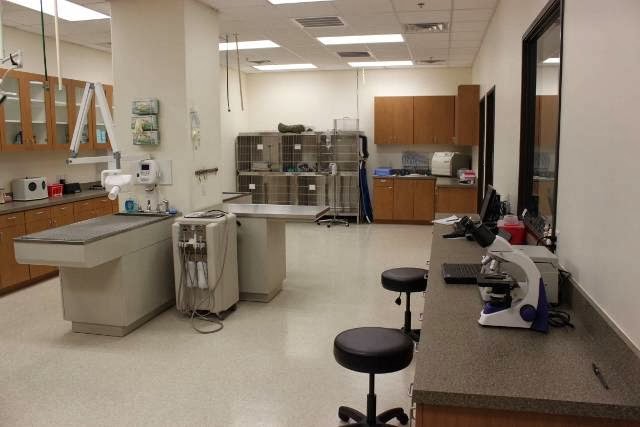 South Park Animal Hospital - Austin , United States