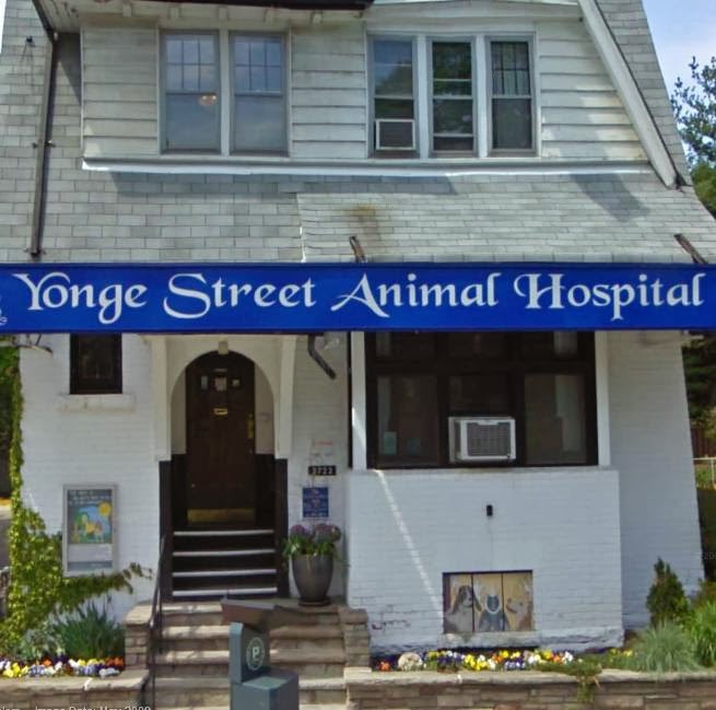 Yonge Street Animal Hospital - Toronto , Canada