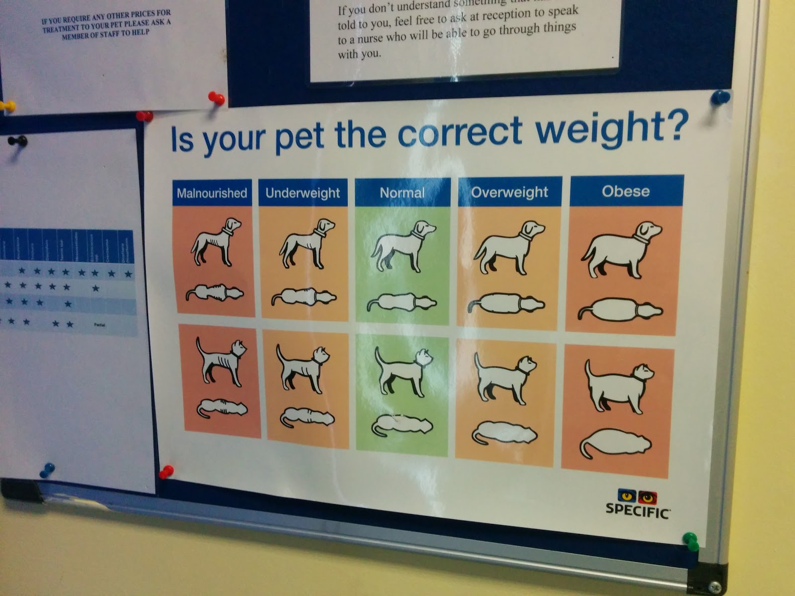 Rutland House Veterinary Hospital - Saint Helens , United Kingdom