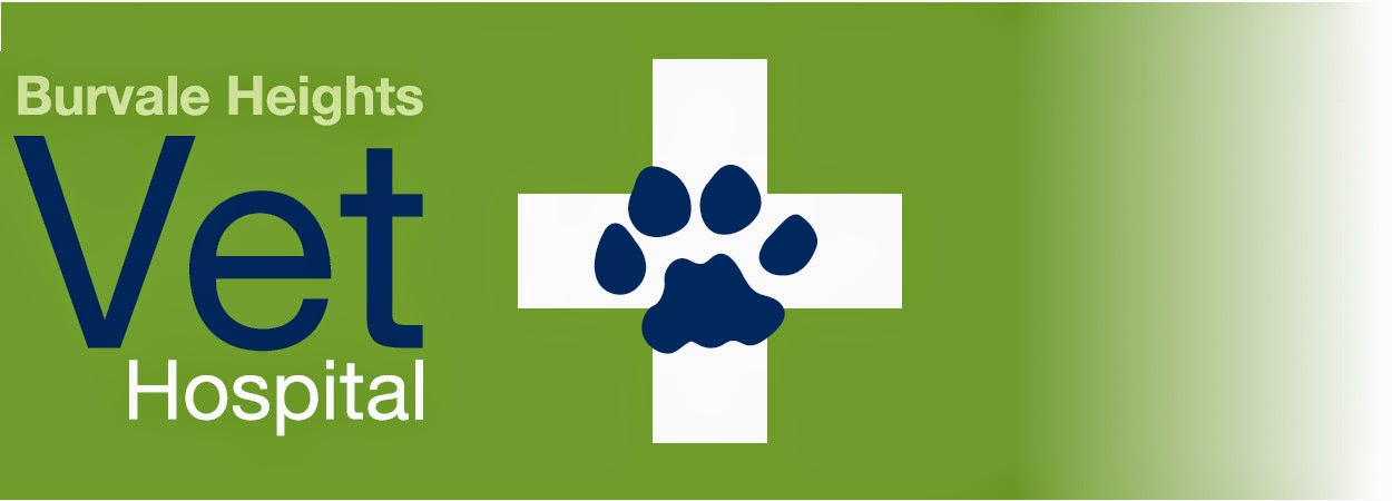 Burvale Heights Vet Hospital - Forest Hill , Australia