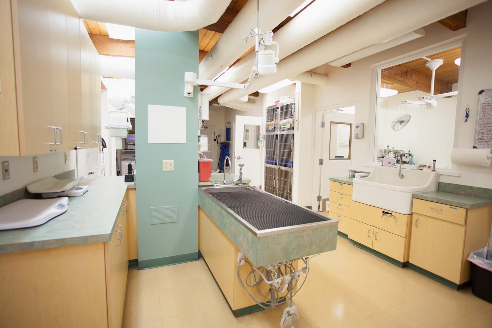 Hillsdale Veterinary Hospital - Portland , United States