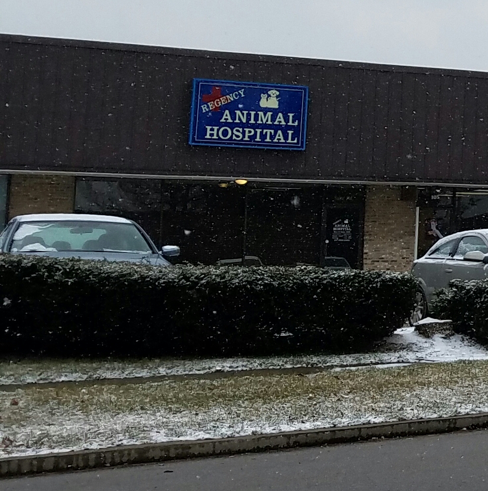 Regency Animal Hospital - Lexington , United States