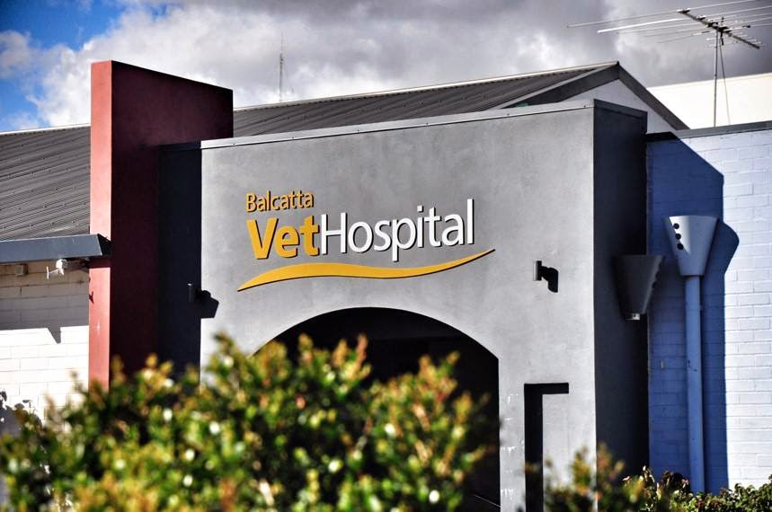 Balcatta Vet24 - Balcatta , Australia