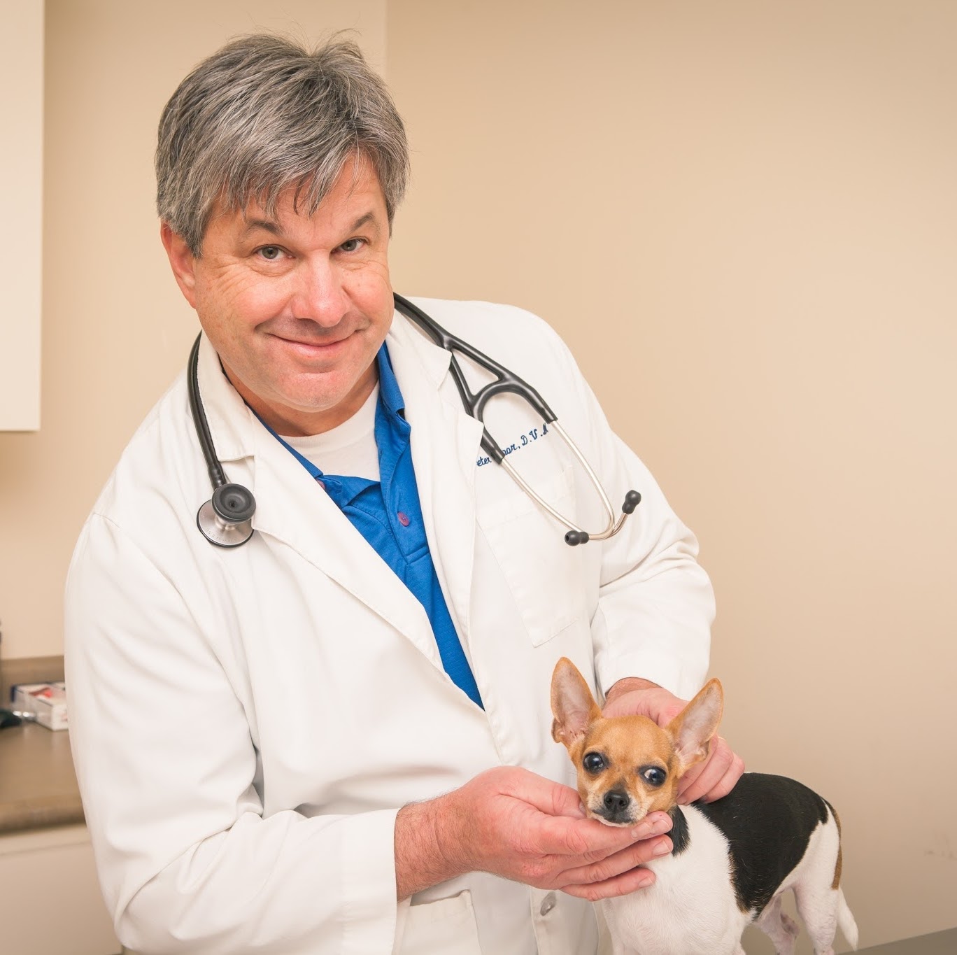River Ridge Veterinary Clinic - New Orleans , United States