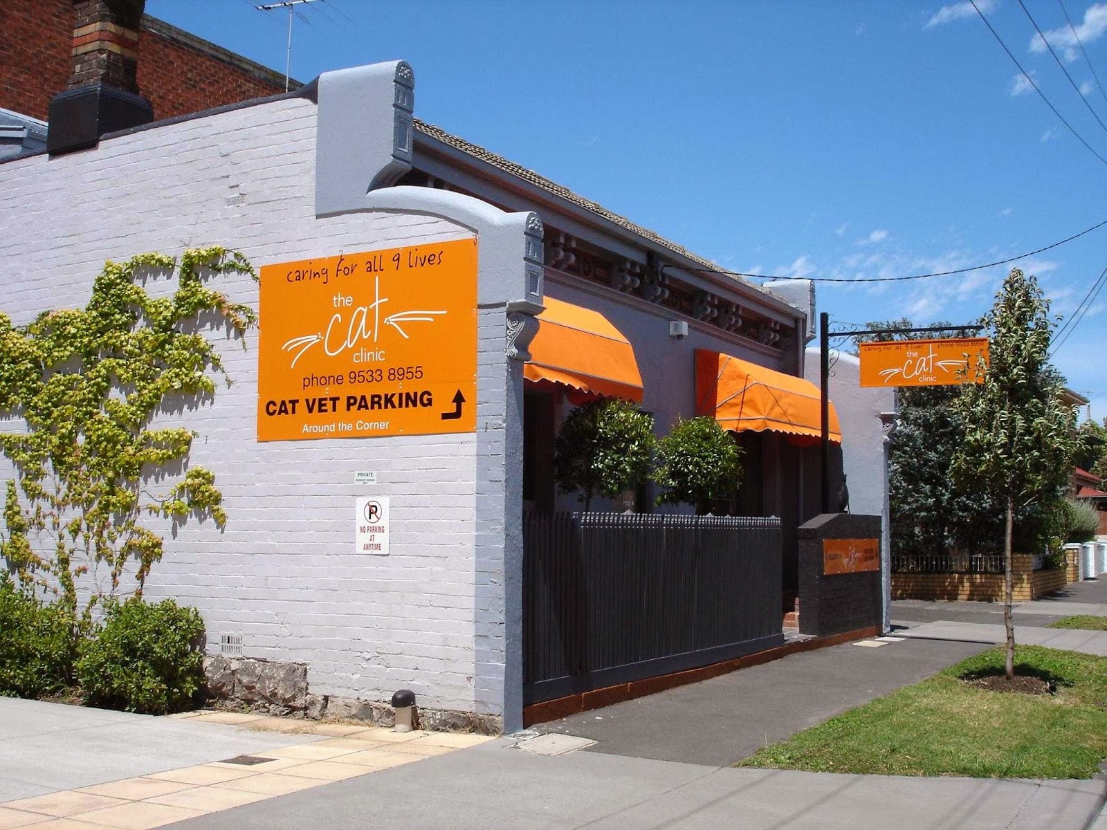 The Cat Doctors - Caulfield South , Australia