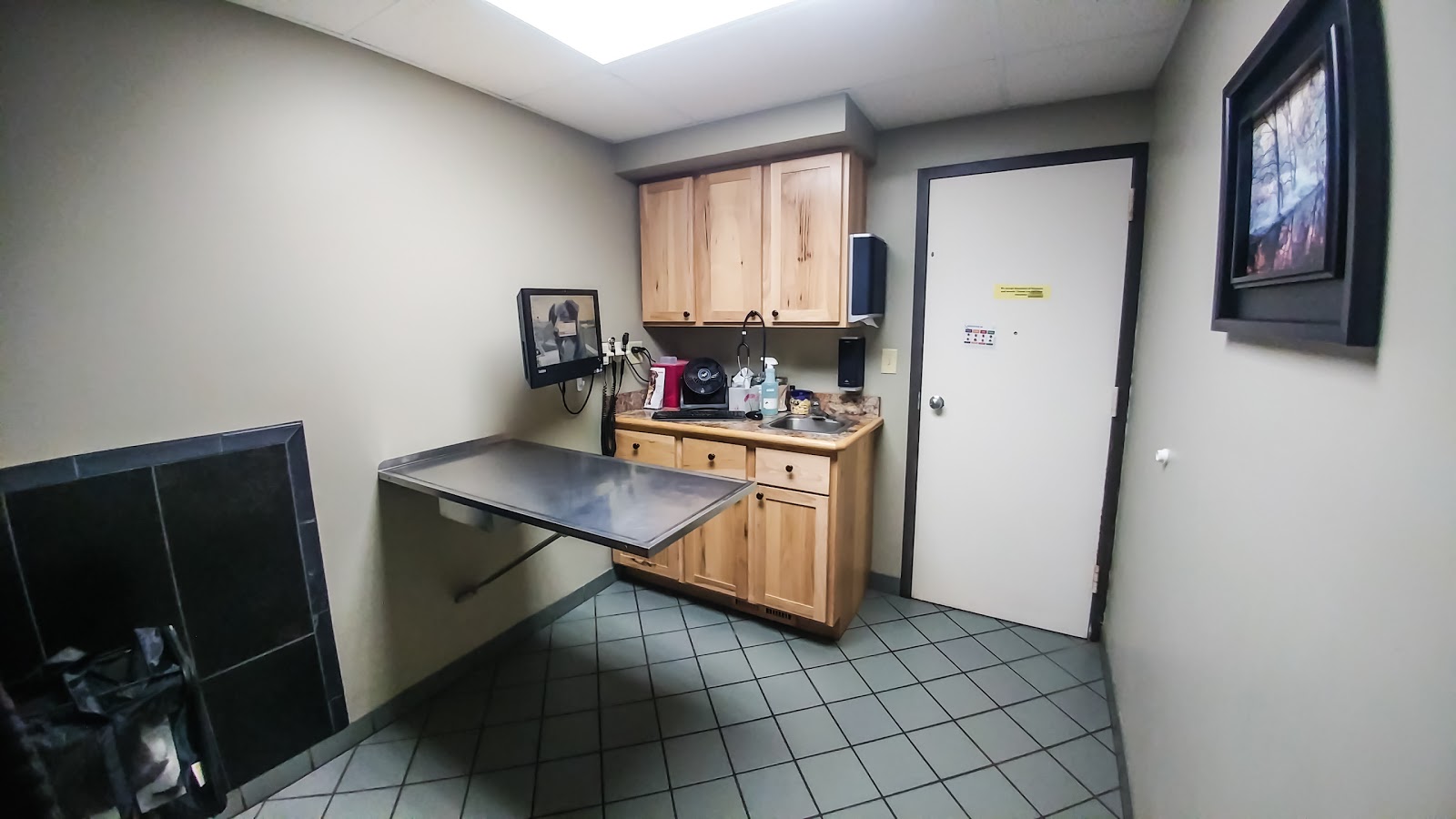 Southview Animal Hospital - West St Paul , United States