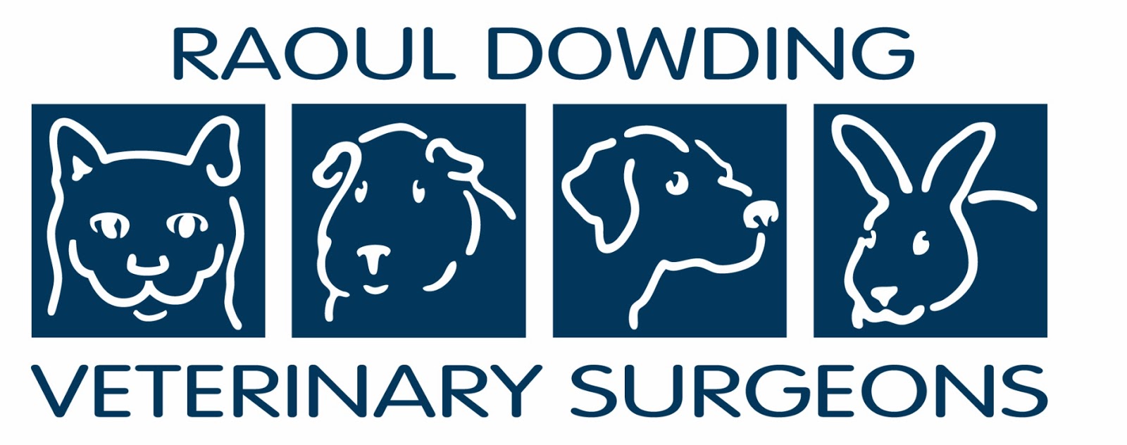 Raoul Dowding Vets Gainsborough - Gainsborough , United Kingdom