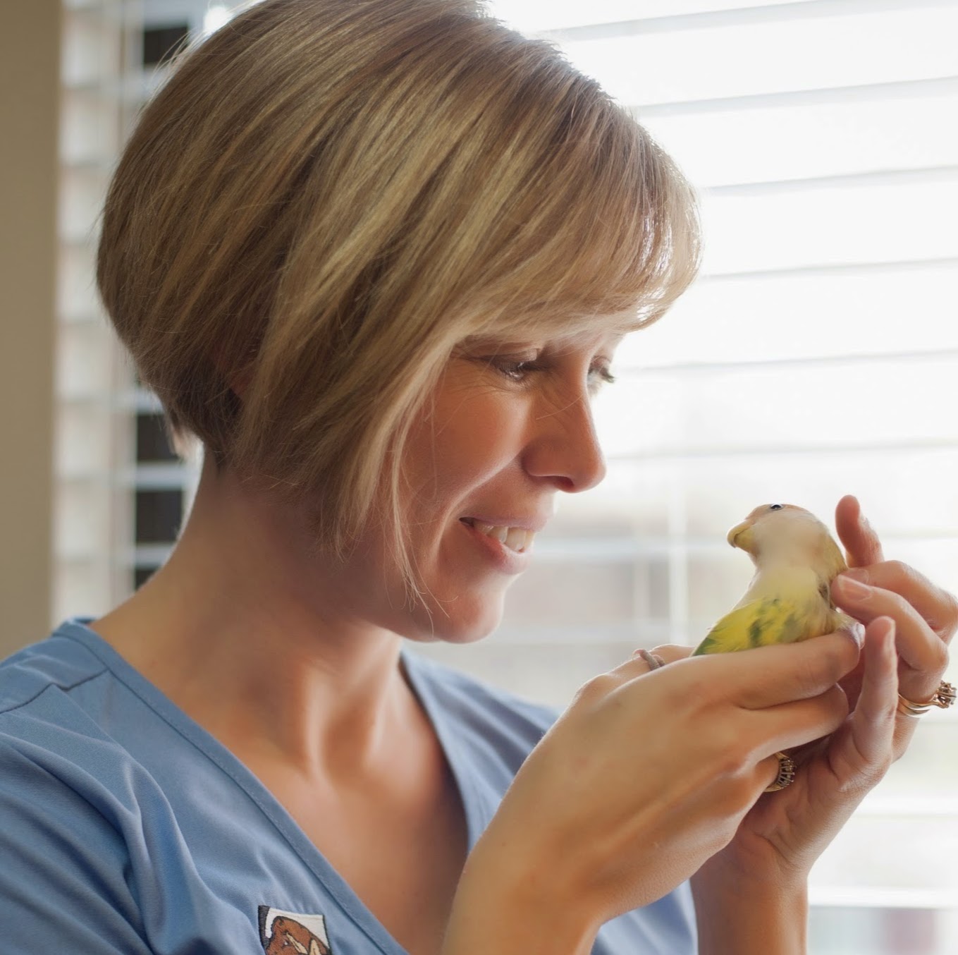 Burloak Animal Hospital - Oakville , Canada