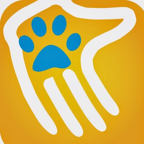 Your Pets Vet Inglewood - Inglewood , Australia