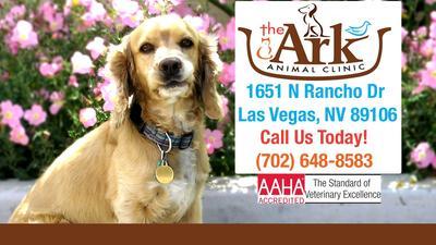 The Ark Animal Clinic, 1651 North Rancho Drive, Las Vegas, Reviews and