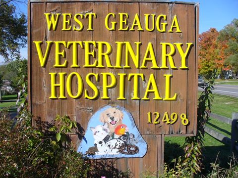 West Geauga Veterinary Hospital - Chesterland , United States