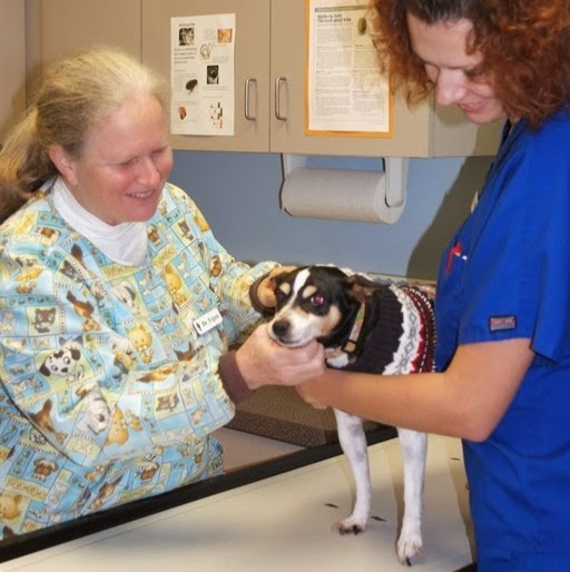 Big Creek Pet Hospital - Olmsted Township , United States