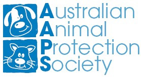 Australian Animal Protection Society Veterinary Clinic - Keysborough , Australia