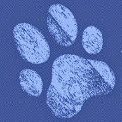 Animal Clinic - Iowa City , United States