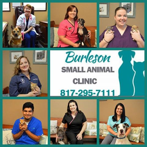 Burleson Small Animal Hospital - Burleson , United States