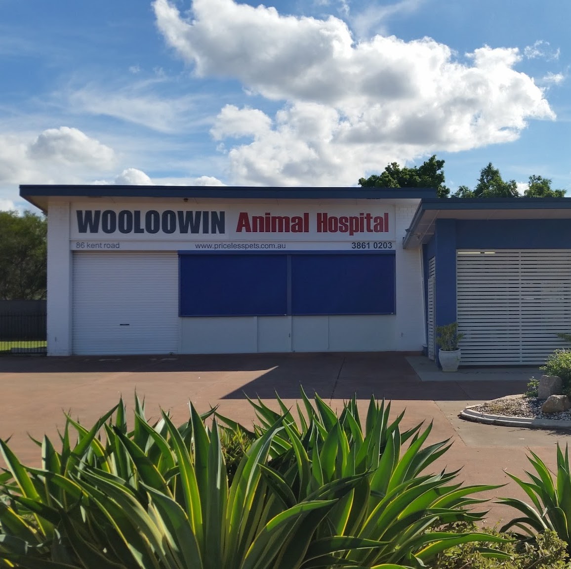 Wooloowin Animal Hospital - Wooloowin , Australia
