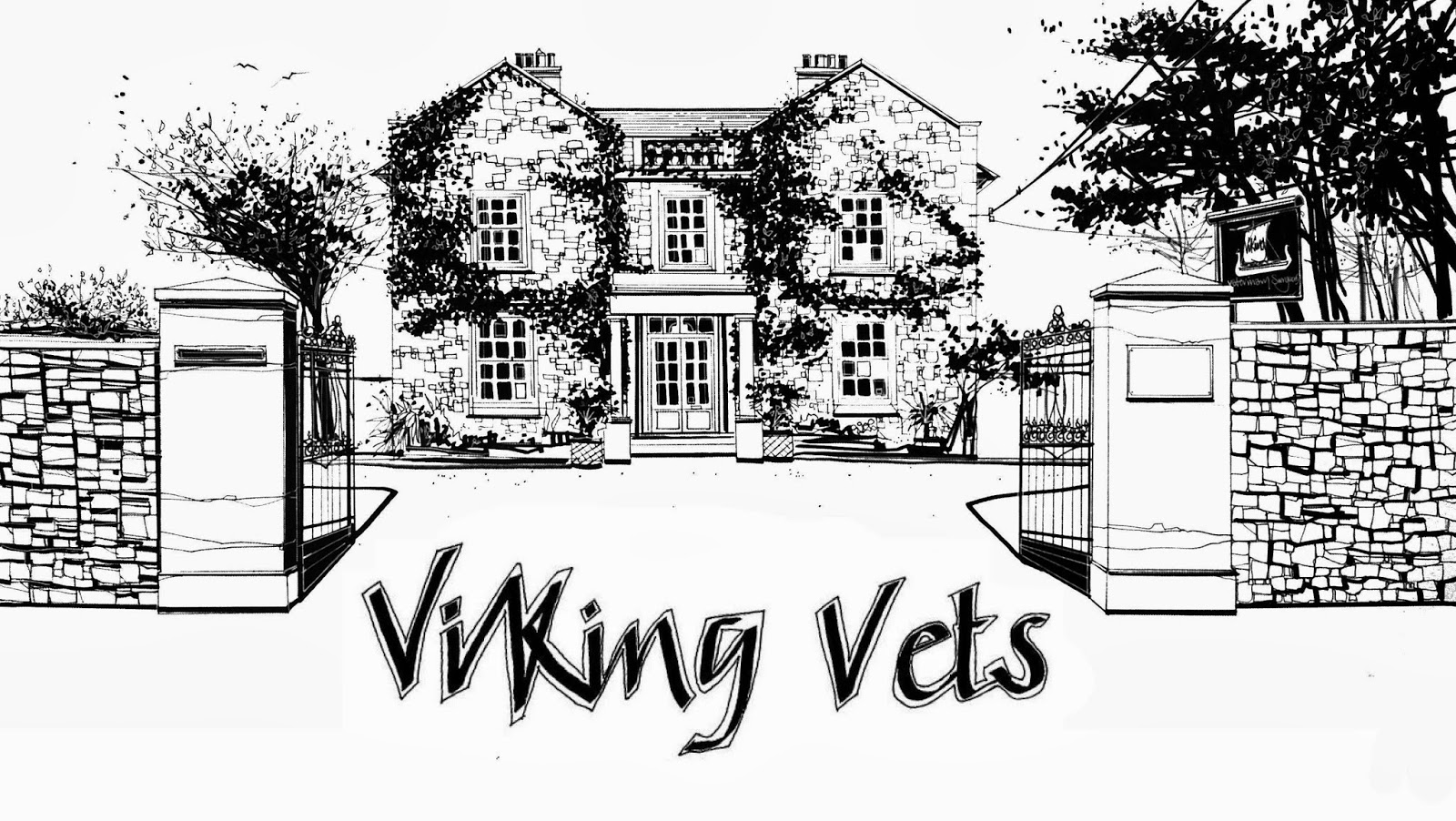 Viking Vets - Bristol , United Kingdom