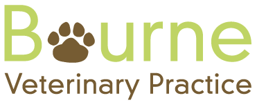 Bourne Veterinary Practice - Canterbury , United Kingdom