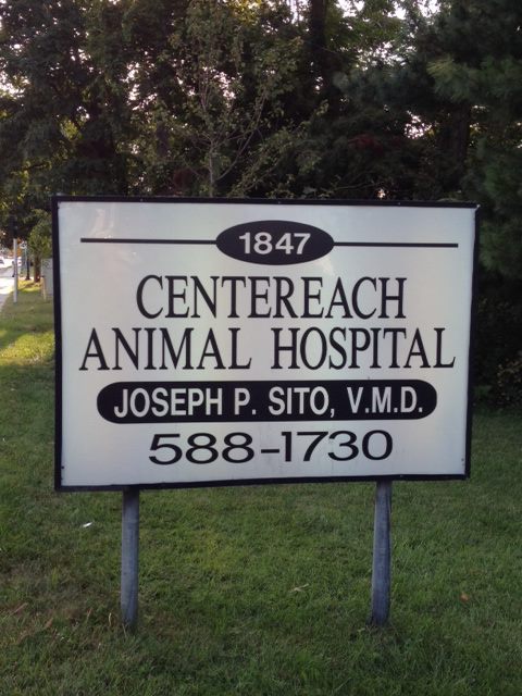 Centereach Animal Hospital - Centereach , United States