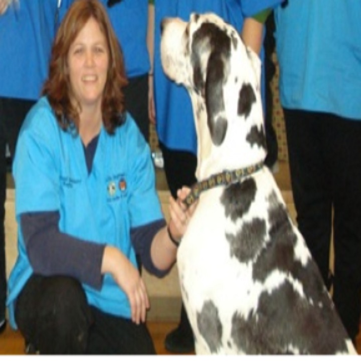 Townsend Veterinary Hospital - Townsend , United States